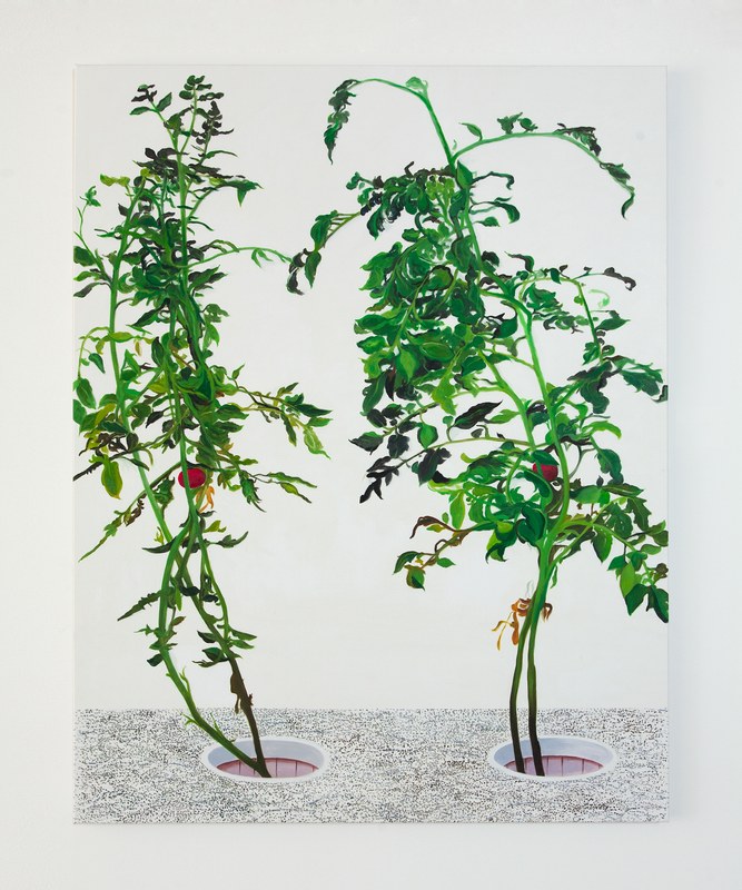 Alex Fischer, Vii 陈文波 Chen Wen Bo, 2015-02-26